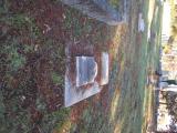 image of grave number 760034